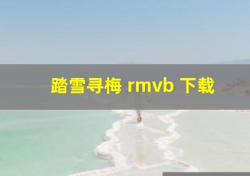 踏雪寻梅 rmvb 下载